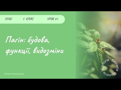 Видео: Пагін, його будова та функції. Видозміни пагонів.