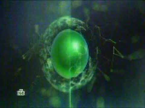 Видео: Рекламные блоки и анонсы | НТВ. 01.06.2017