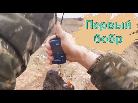 Видео: Охота на БОБРА с КАРАБИНОМ "Лось 145".Мой ПЕРВЫЙ бобр!!