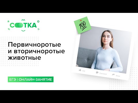 Видео: Первичноротые и вторичноротые животные | БИОЛОГИЯ ЕГЭ | СОТКА