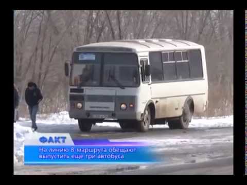 Видео: Ещё 3 автобуса будут пущены по маршруту № 8