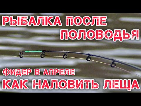 Видео: РЫБАЛКА НА ФИДЕР ПОСЛЕ ПОЛОВОДИЯ / КАК и ГДЕ ИСКАТЬ РЫБУ на РЕКЕ