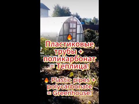 Видео: 🔥 Пластиковые трубы + поликарбонат = Теплица!  #greenhouse #pipes #теплица