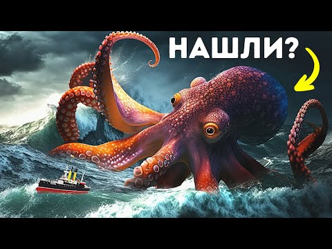 Видео: 20+ океанских существ, от которых у вас по позвоночнику побегут мурашки!