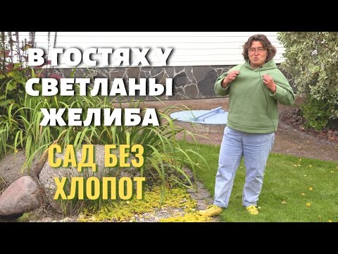 Видео: В гостях у Светланы Желиба. Сад без хлопот или сад минимального ухода.