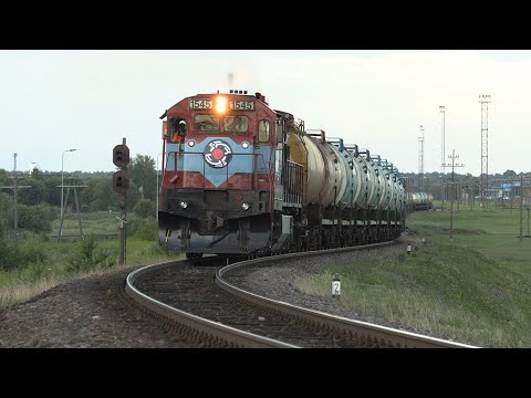 Видео: Тепловоз Ц36-7и-1545 на ст. Маарду / GE C36-7i-1545 at Maardu station