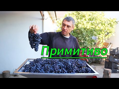 Видео: ПРИМИТИВО! /Микровиноделие.