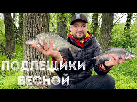 Видео: 🐠 На что клюёт ЛЕЩ весной на Днепре с.Диевка