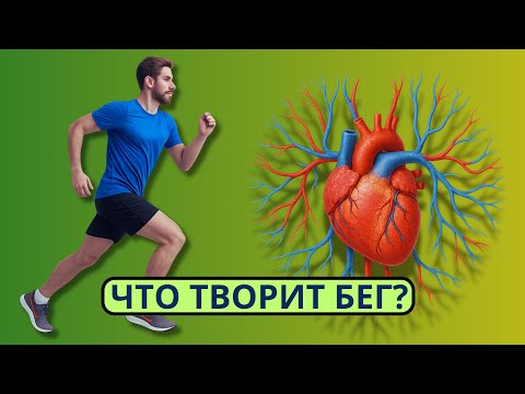 Видео: Многие не знают что может творить БЕГ🏃 с человеком. Результат шокирует!
