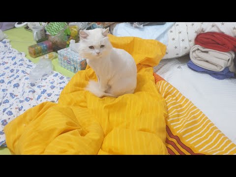 Видео: Июль💥Ч9.За кадром/Новое блюдо/секреты приготовления яиц/Лишай? 2-ой пробный день в лабе - еле дошла!