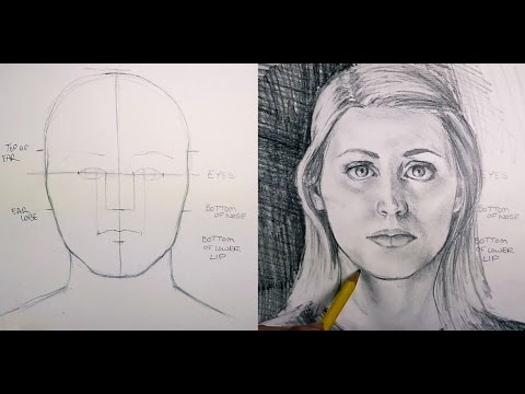 Видео: Как рисовать пропорции лица