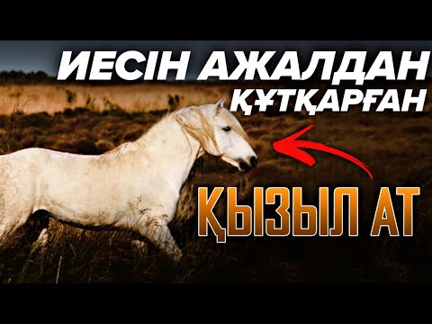 Видео: ОСПАННЫҢ ҚЫЗЫЛ АТЫ❗