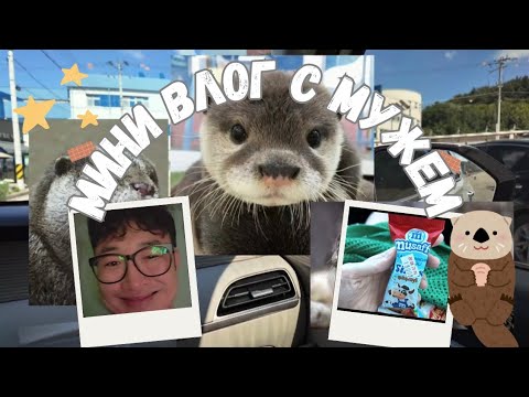 Видео: [KOREA VLOG] Поход в русский магазин в Корее❤️/ Попытки увидеть выдру🦦/ Обычный выходной с мужем✨️