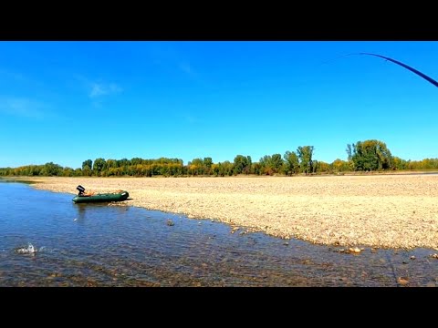 Видео: ХАРИУС ЛОВИТСЯ ПРЯМ ПОД НОГАМИ !! Рыбалка на поплавочную удочку .