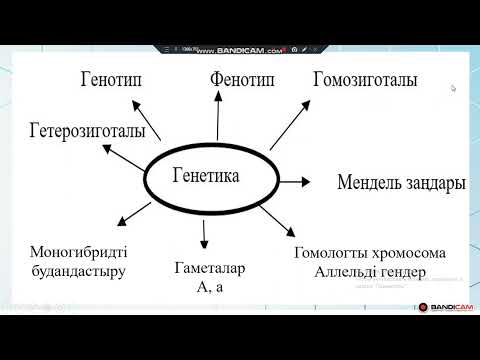 Видео: Тұқымқуалаушылық заңдылықтарының цитологиялық негіздері