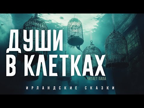 Видео: Души в Клетках | Ирландские Сказки | Читает Папа