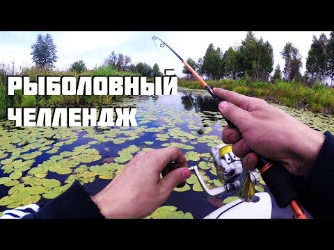 Видео: Рыболовный ЧЕЛЛЕНДЖ! Смогу ли ПОЙМАТЬ ТРИ РЫБЫ на НЕОГРУЖЕННУЮ РЕЗИНУ спиннингом??