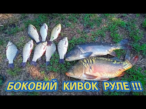 Видео: МОЯ НАЙКРАЩА РИБАЛКА! Короп карась на боковий кивок з коряг