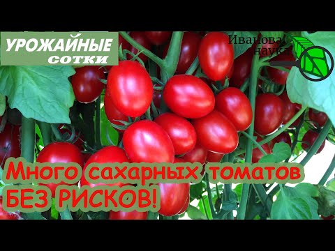Видео: ПЛОДЫ СЛАЩЕ, БОЛЕЗНЕЙ НЕТ! ПРАВИЛЬНАЯ ХИРУРГИЯ без РИСКОВ!