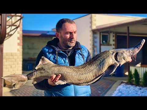 Видео: РЫБА НА УГЛЯХ. ОСЕТРИНА НА ГРИЛЕ.