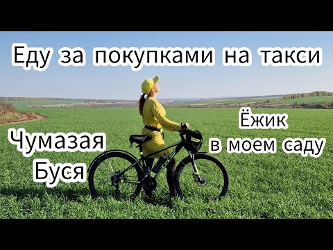 Видео: Еду за покупками на такси. Ёжик в моем саду. Чумазая Буся.