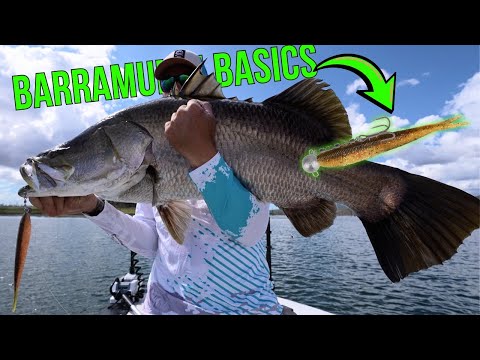 Видео: Основы ловли баррамунди. Техника ловли крупной рыбы и снасти