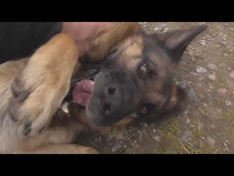 Видео: Оправка КМ5