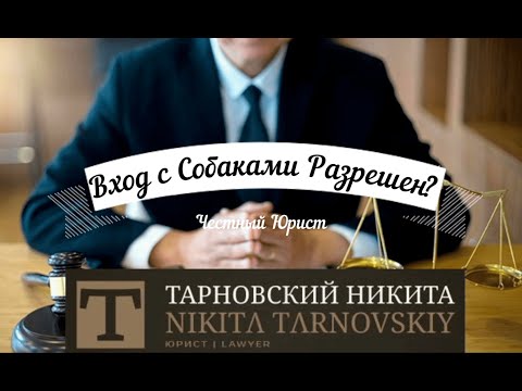 Видео: С Собаками Вход разрешен!