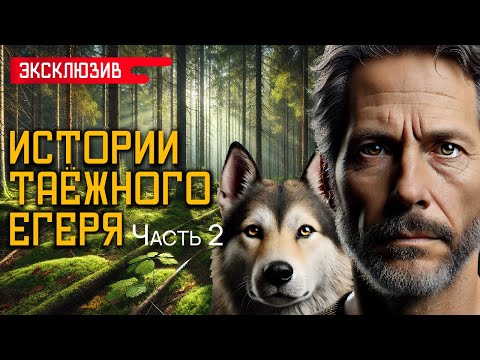 Видео: ИСТОРИИ ТАЁЖНОГО ЕГЕРЯ (ЧАСТЬ 2) - Деревенские и Лесные Истории На Ночь