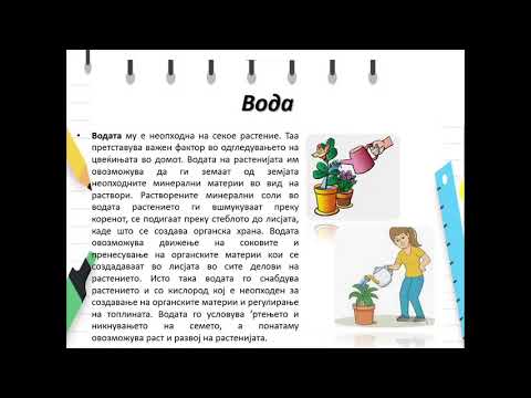 Видео: III одделение -  Природни науки -  Одгледување на растенија