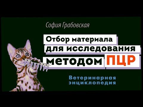 Видео: Отбор материала для исследования методом ПЦР