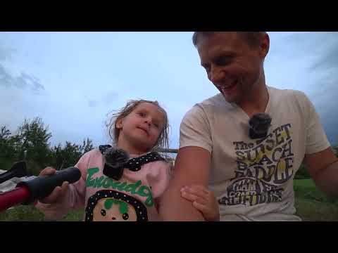Видео: МТЗ Беларус. Адаптер к мотоблоку. Деревенские будни. Из города в деревню.