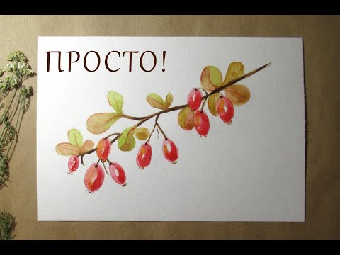 Видео: Как нарисовать веточку Барбариса акварелью. Бесплатный урок рисования