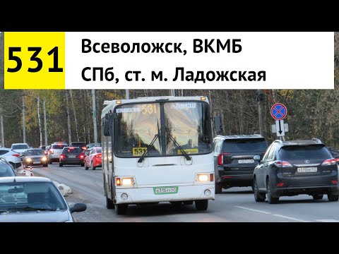 Видео: Автобус 531 "Всеволожск, ВКМБ - СПб, ст. м. "Ладожская"