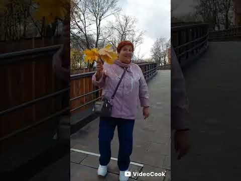 Видео: 5 ноября 2025 г.