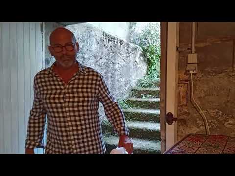 Видео: Франция, почти средневековые двери 🤔😁🐕🫶