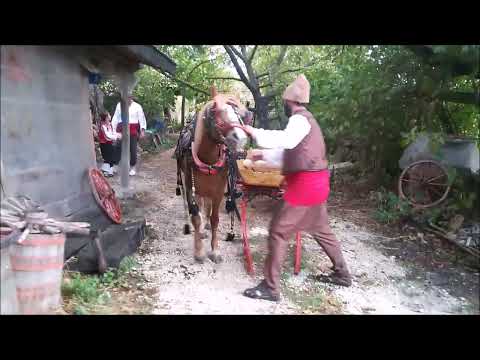 Видео: Разходка с каруца