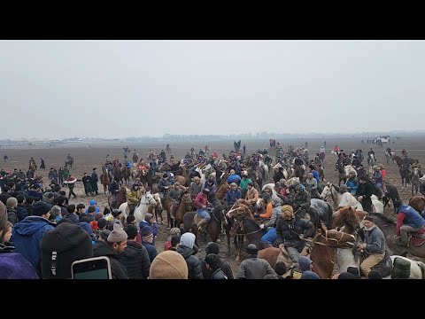 Видео: кисми /1 БУЗКАШИ ДАР Н,А,ЧОМИЙ КУЙБЕШ ПУШКИН 2023 г.