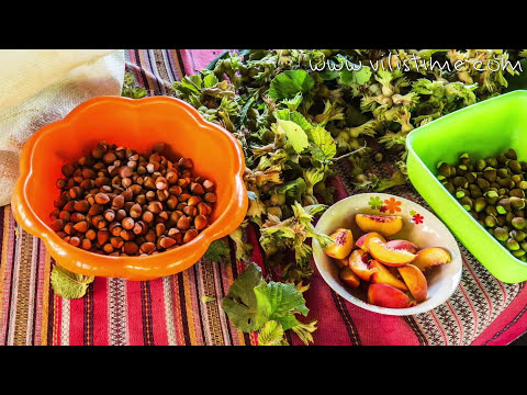 Видео: Как се прави домашен лешников тахан