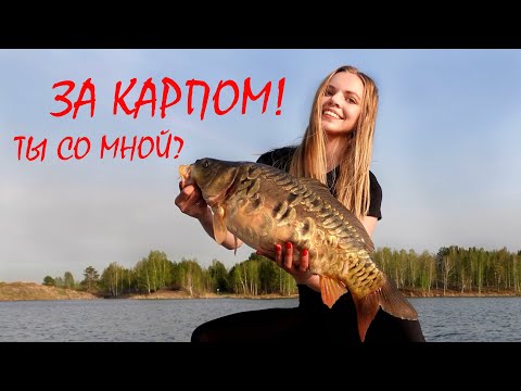 Видео: ОНИ ВЫРЫВАЮТ УДОЧКУ ИЗ РУК! Ловлю карпа на флэт метод фидер. Мощные поклевки с первого заброса!