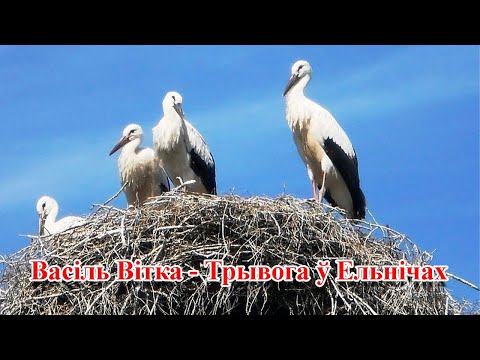 Видео: Васіль Вітка - Трывога ў Ельнічах