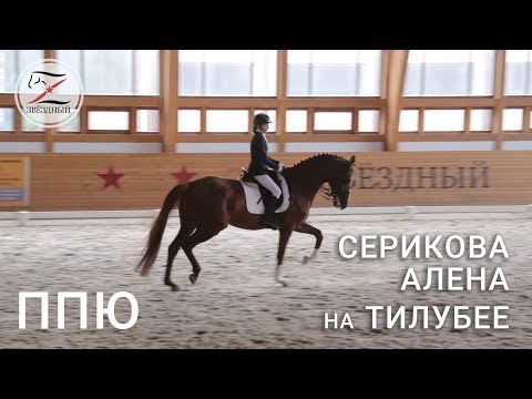 Видео: Алена Серикова на Тилубее. Выездка. Предварительный приз Юноши - 65.556% 1 место