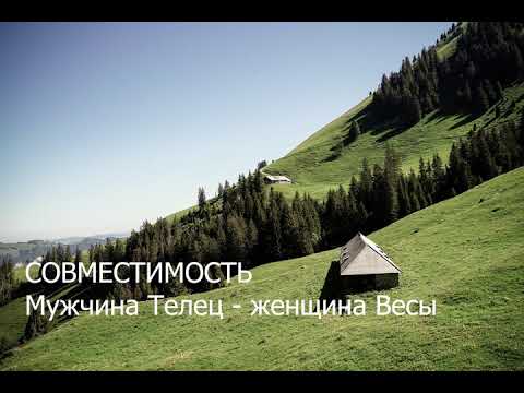 Видео: Совместимость мужчины Тельца и женщины Весы