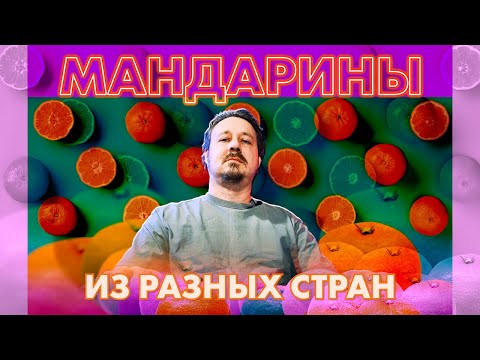 Видео: Мандарины какие купить на новогодний стол