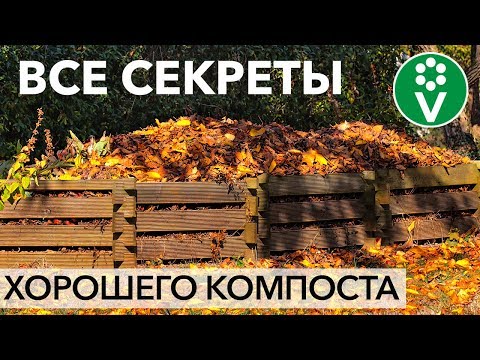 Видео: Эти ПРАВИЛА КОМПОСТИРОВАНИЯ ОСЕНЬЮ должен знать каждый!