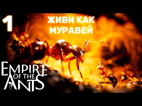 Видео: Живи как муравей и строй империю - Empire of the Ants №1