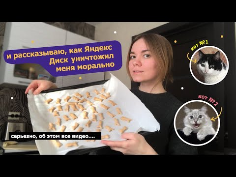 Видео: пеку печенье для котов