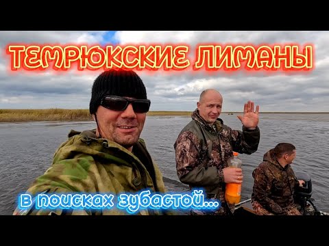 Видео: ТЕМРЮКСКИЕ ЛИМАНЫ/В ПОИСКАХ ЗУБАСТОЙ/КАЗАНКА В ДЕЛЕ #темрюкскиелиманы #рыбалка #щука #улов #темрюк