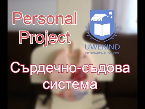 Видео: Сърдечно-съдова система - макет и демонстрация