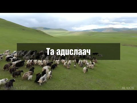 Видео: Та адислаач